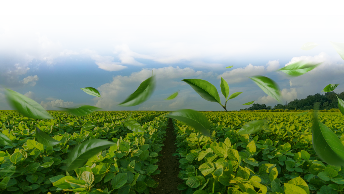 บริษัท สหชลผลพืช จำกัด